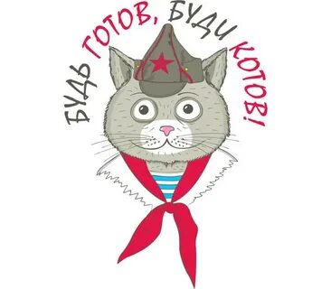 Котики пионеры