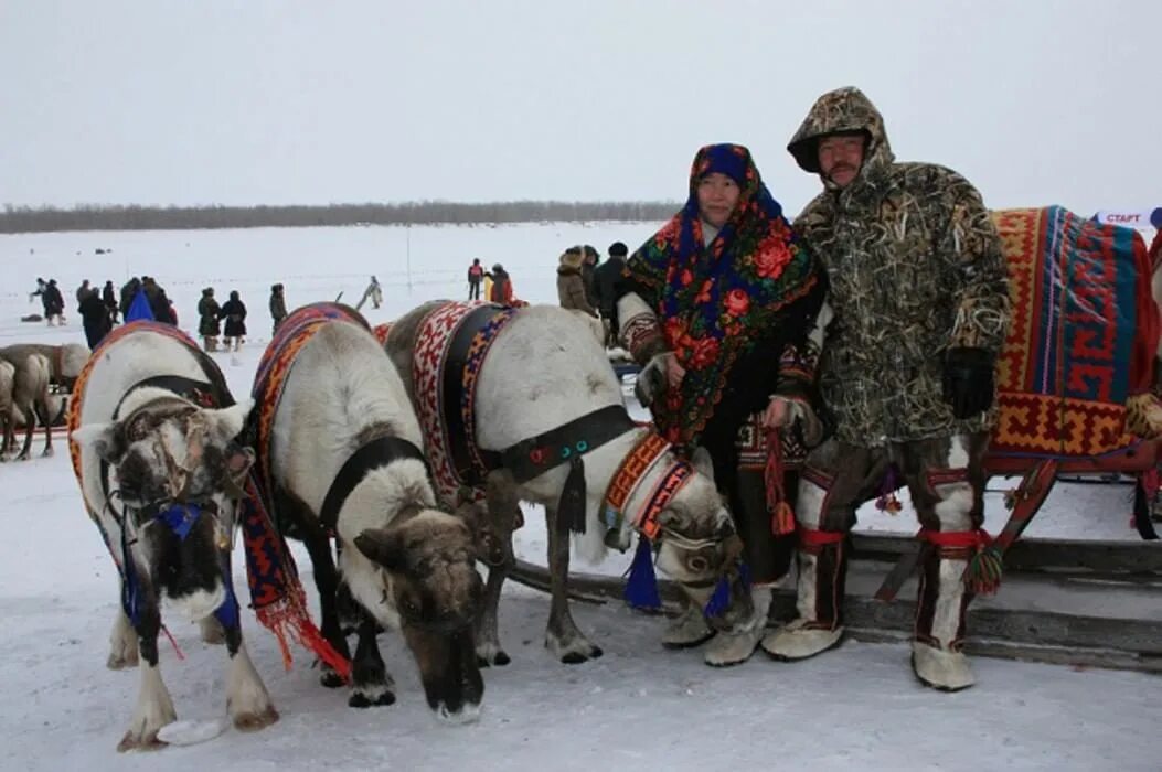 День оленевода тазовский. День оленевода Гыда. Гыда поселок. День.оленевода.Гыде.. Праздник оленевода в Тазовском.