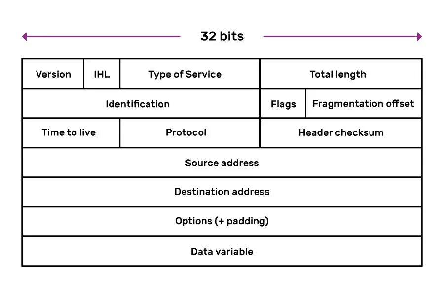 Поля пакета ipv4. Структура ipv4. Структура пакета ipv4. Формат заголовка IP. Ipv4 packet