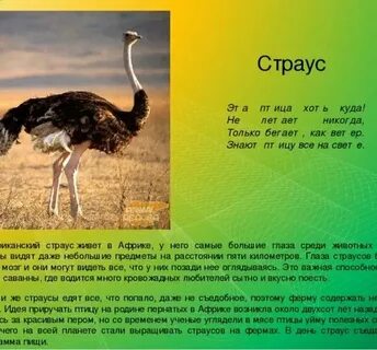Факты о районах