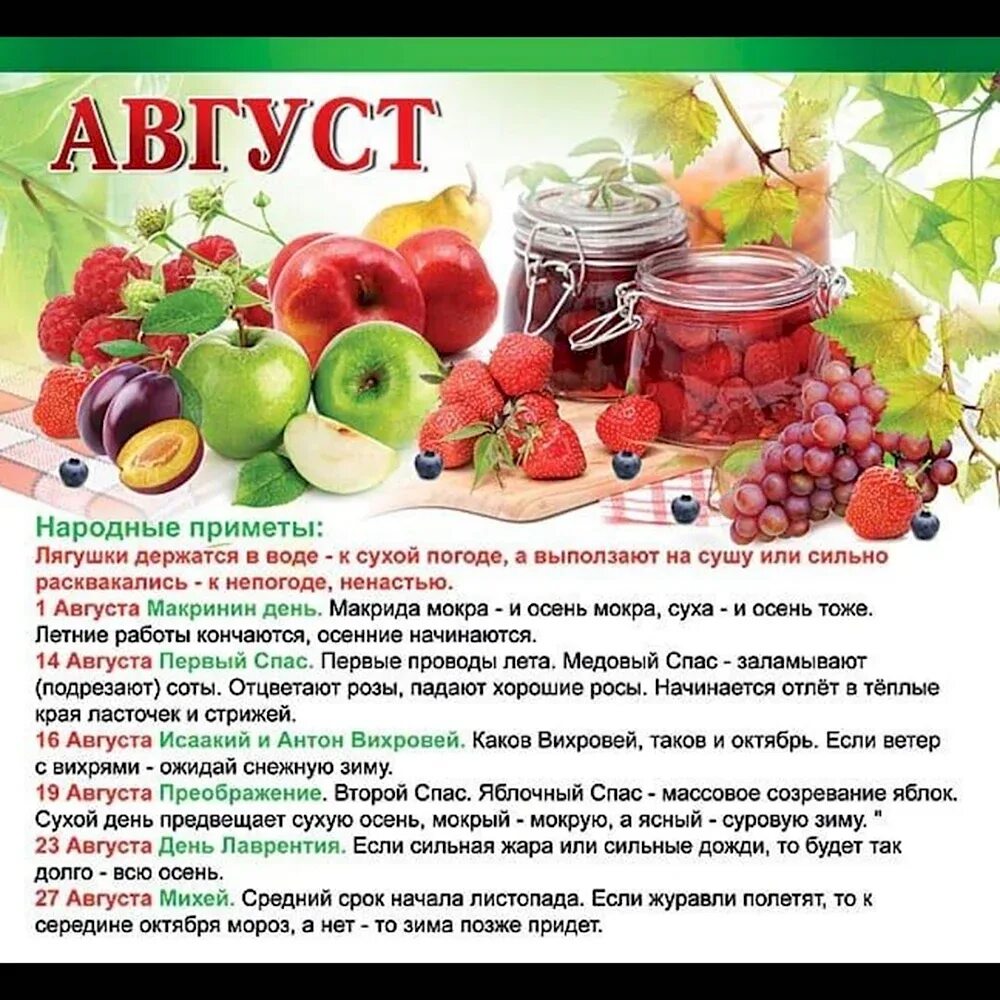 Интересное про август. Августовский пейзаж. Интересное про август. Красивый август. Загадка про август для школьников.