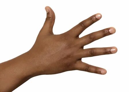 Hand кисть руки
