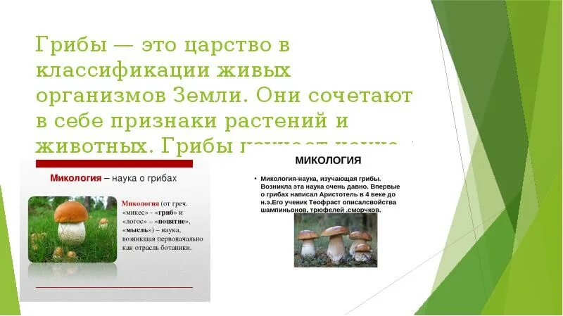 Сочетают в себе признаки и растений. Экологические факторы влияющие на урожайность дикорастущих растений. влияние экологических факторов на урожайность дикорастущих растений. микология признаки растений.