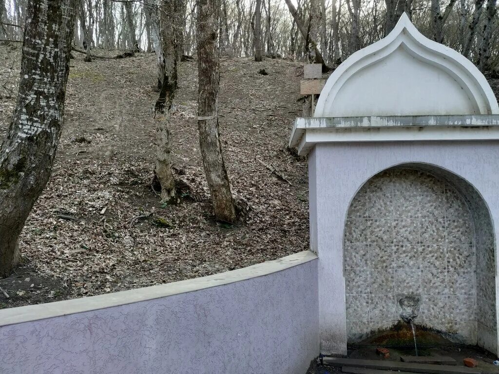 Щелоков Родник Варениковская. Хутор школьный Щелоков Родник. Варениковская Родник. Ключ ручей Родник. Родники в краснодарский