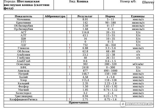 Аст алт повышена у собак. Алт норма у кошек. Алт и АСТ норма у кошек. Норма алт в крови у кошек. Норма АСТ У кота.