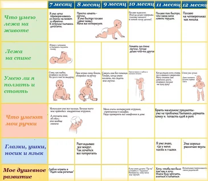 Что должен уметь делать ребенок 1 год. Нормы развития ребёнка по месяцам. Таблица развития ребенка до года. Нормы развития ребенка до года по месяцам таблица девочки. Нормы развития ребенка до года по месяцам таблица.