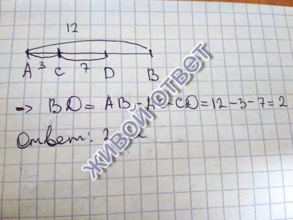 Отрезок 9 см. Найдите длину отрезка см. На отрезке ab отмечены точки c и d. Длины отрезков ab 12 см AC 7.