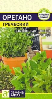 Семена греческая
