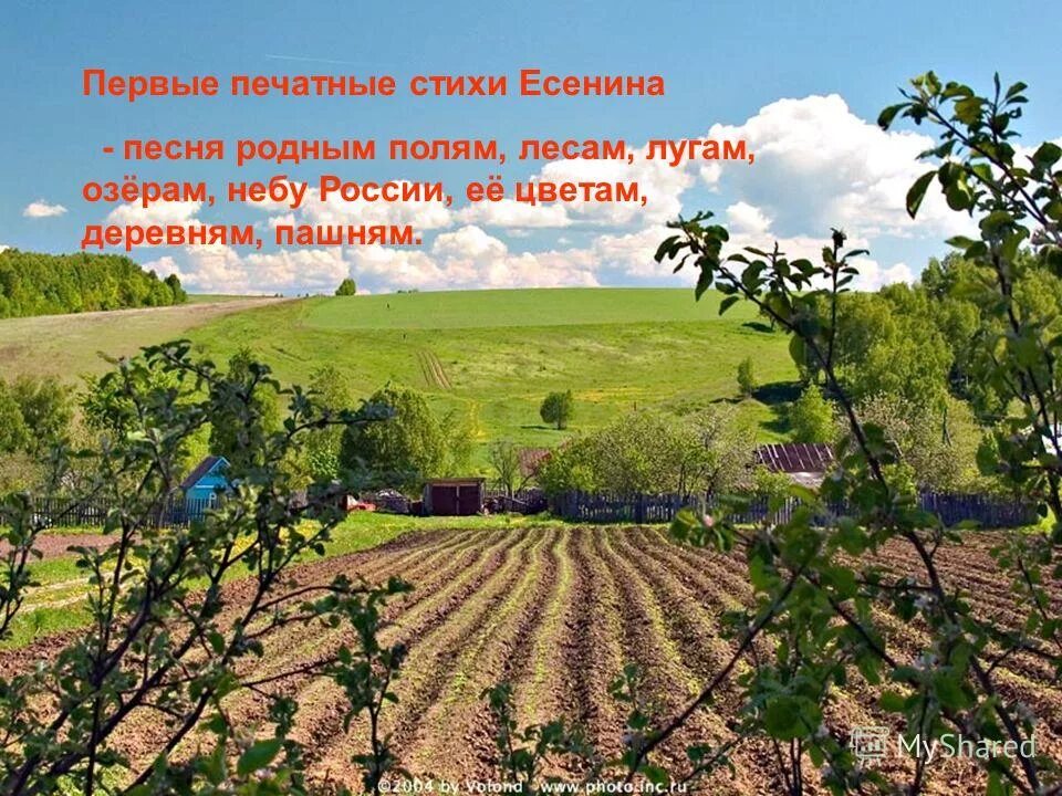 курган возвышенность. холмы. замело снегами землю главная мысль текста. была летом земля цветная у каждого пригорка. была летом земля цветная у каждого пригорка.