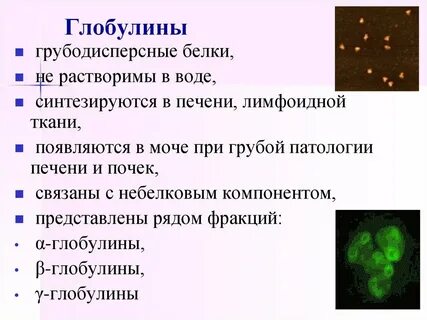 Почему повышен глобулин