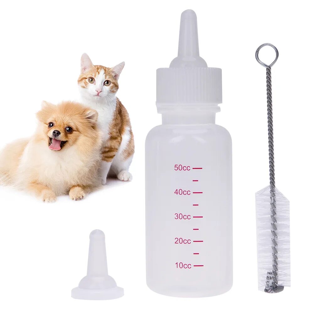 Бутылочка для котят. Бутылка для вскармливания котят. Бутылочка для вскармливания щенков. Соска для кормления котят.