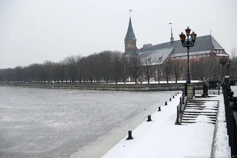 Ледяное калининград