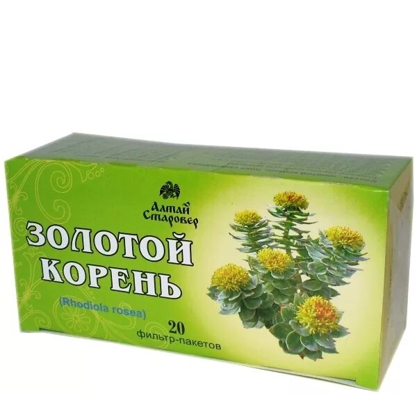 Золотой корень родиола розовая. Золотой корень родиола розовая корень. Радиола розовая золотой корень. Родиолы розовой(золотого корня),.