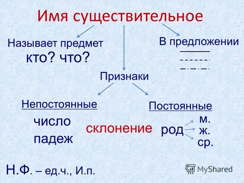 Для чего нужны имена существительные