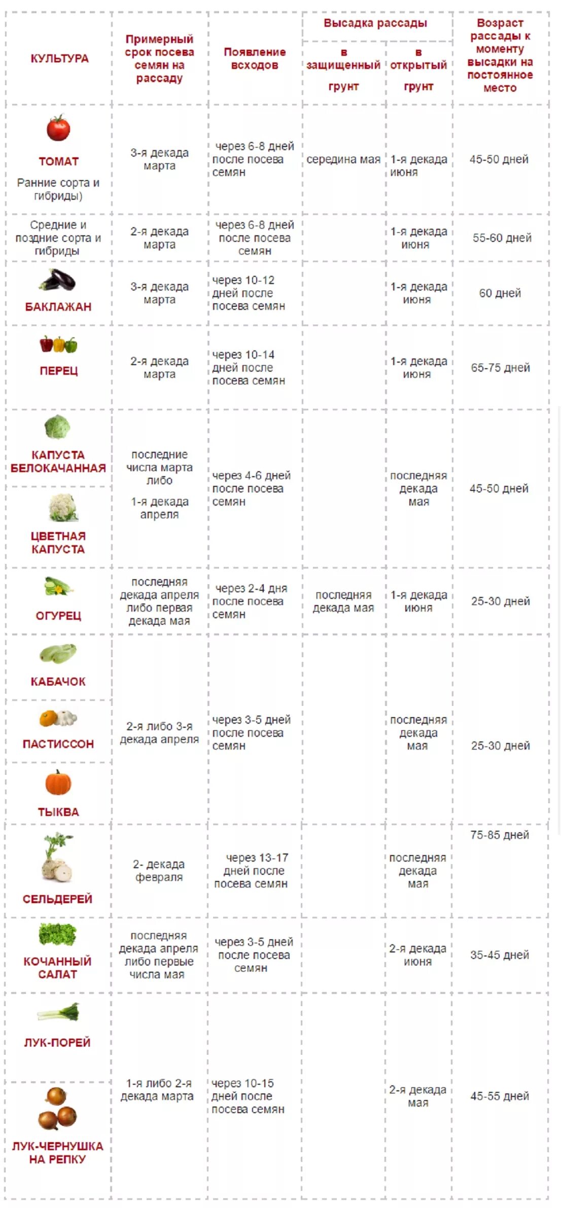 Таблица высадки рассады в открытый грунт. Таблица посадки семян в открытый грунт. Таблица посева семян на рассаду в открытый грунт. Возраст рассады для высадки в грунт таблица. Посев семян на рассаду 2024 год таблица