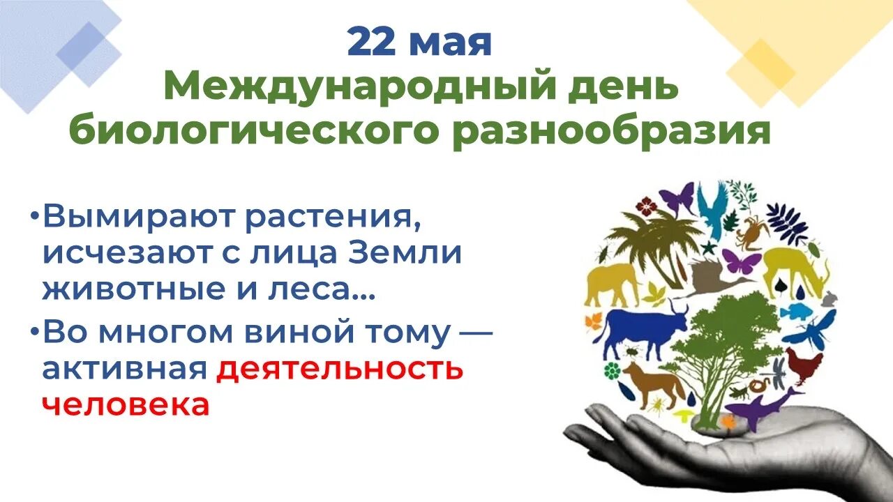 22 Мая Всемирный день биологического разнообразия. 22 Мая Международный день – сохранения биологического разнообразия. 29 Декабря Международный день биологического разнообразия. Всемирный день биоразнообразия.