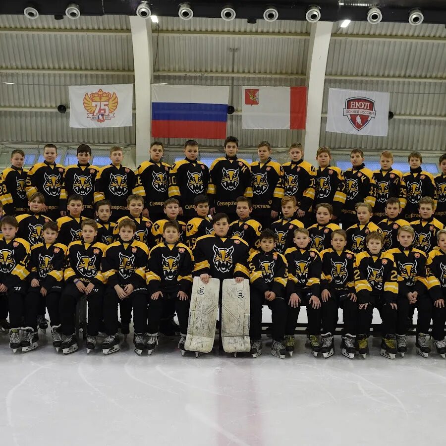 Вымпел хоккейной команды. Хк северсталь 2010. Северсталь 2010. Хоккейная школа северсталь 2009. Олимп северсталь.