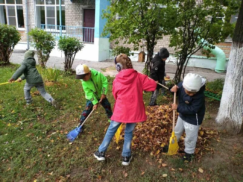уборка в саду на даче. уборка территории от мусора. уборка прилегающей территории. помощь уборке сада. помощь уборке сада.