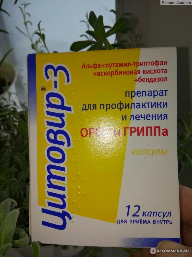 Противовирусные препараты цитовир. Противовирусные цитовир взрослым. Цитовир-3 фото. Противовирусные препараты недорогие цитовир. Цитовир против гриппа