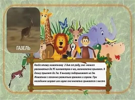 Юмористический рассказ о состязании человека и животных