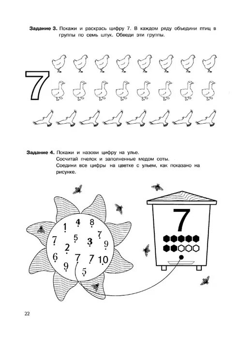 Число 7 старшая группа