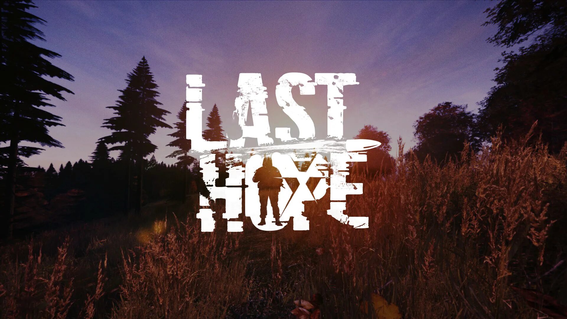 Ласт хоп. DAYZ сталкер. Дейзи сталкер РП. Сталкер РП DAYZ. Last hope DAYZ.