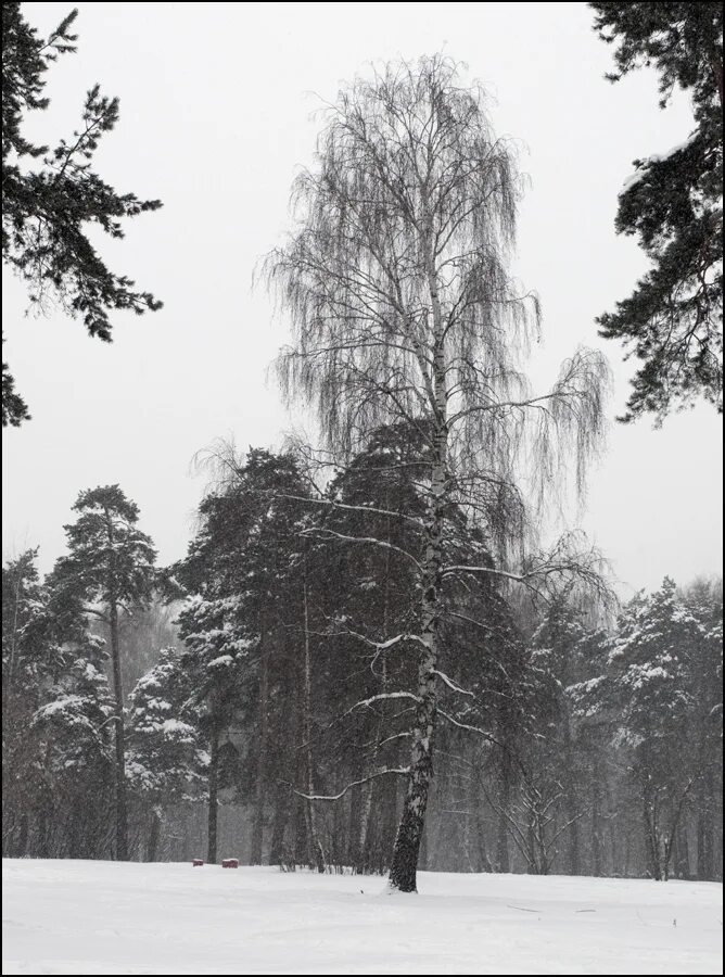 Неба совсем не видно