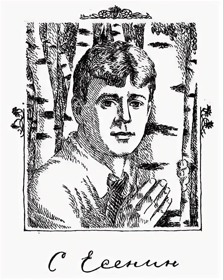 Есенин портрет. Иллюстрации есенинская русь. Иллюстрацию сергея александровича есенина черемуха. Есенин иллюстрации. Есенин портрет.
