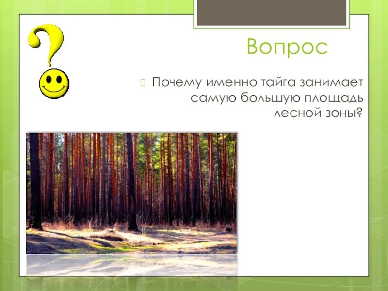 Самую большую территорию зоны лесов. Самую большую территорию занимают какие леса. самую большую территорию в зоне лесов занимает. тайга занимает самую большую площадь. самая большая территория в зоне лесов.