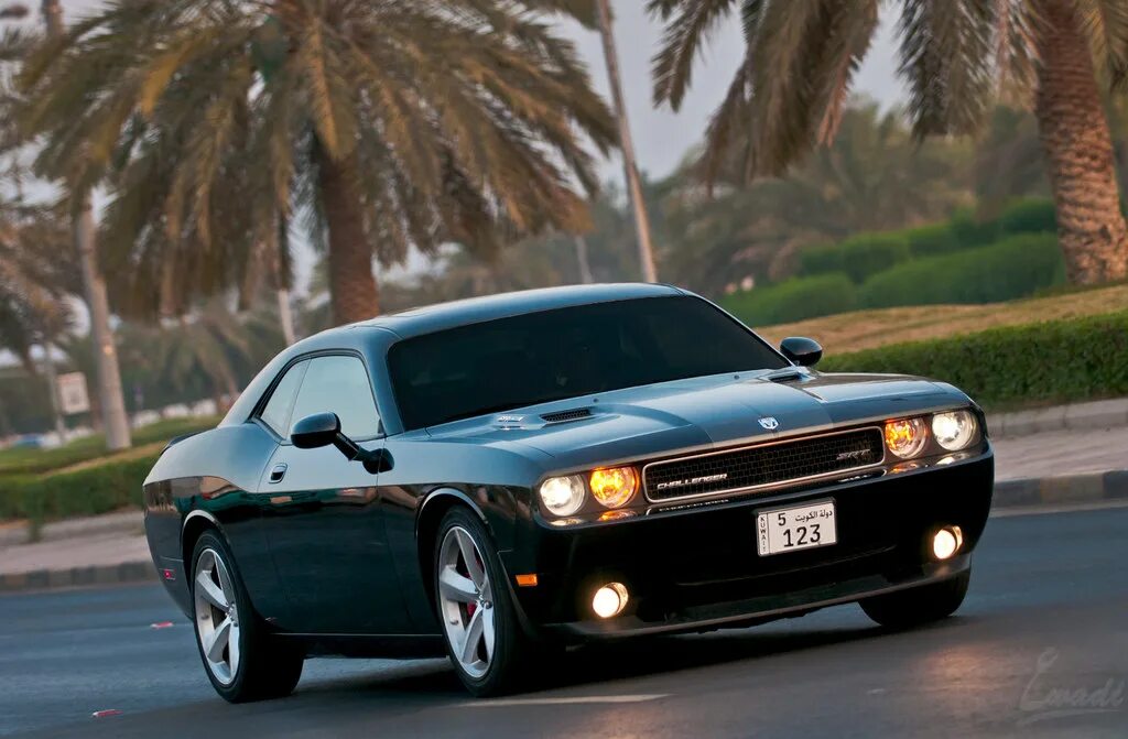 Дочь челленджер. Dodge Challenger 2010. Dodge Challenger srt8 2010. Dodge Challenger srt8 Black. Dodge Challenger srt 2010.