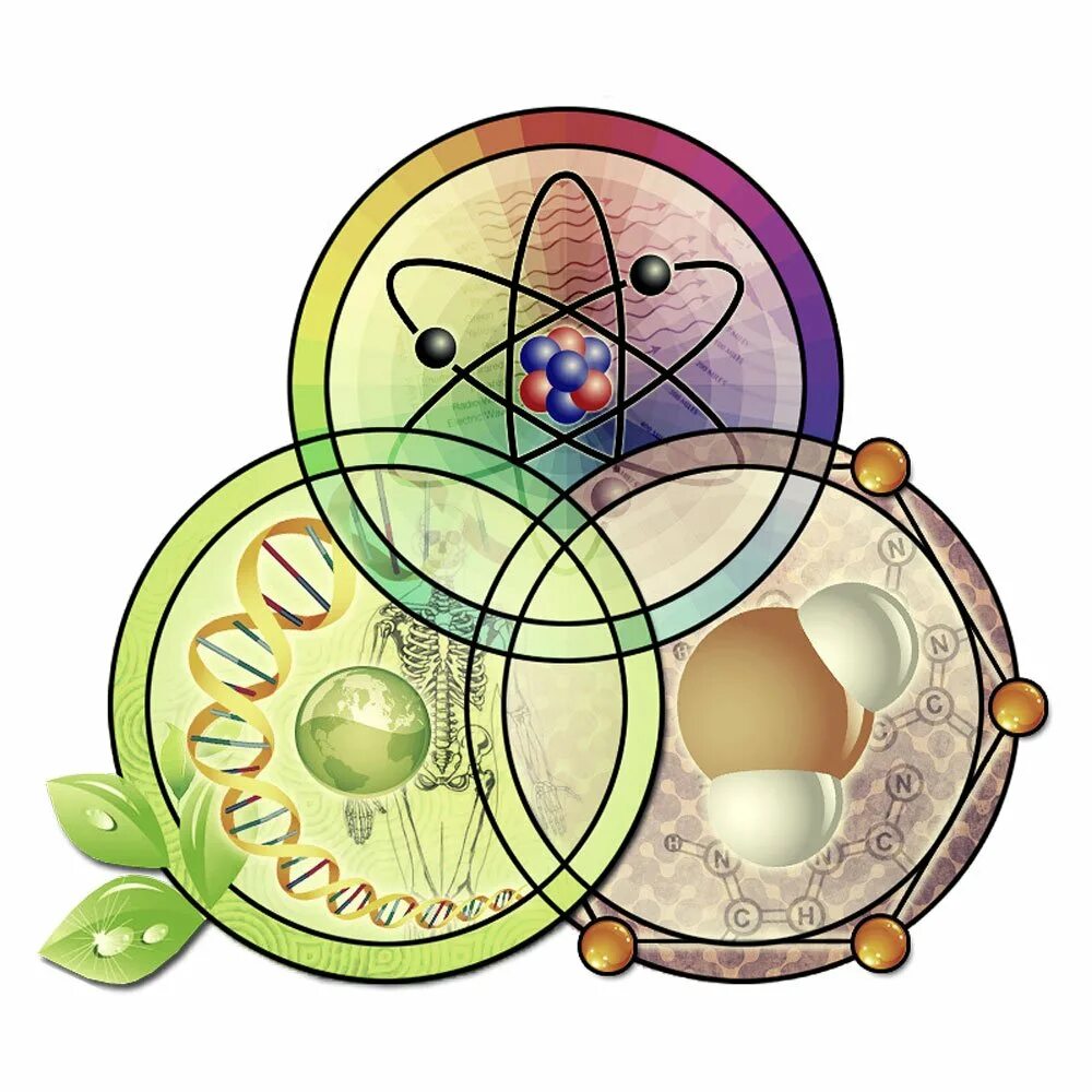 Естественно научные предметы 8 класс. Биология. Химия и биология. Естественные науки. Эмблема по естествознанию.