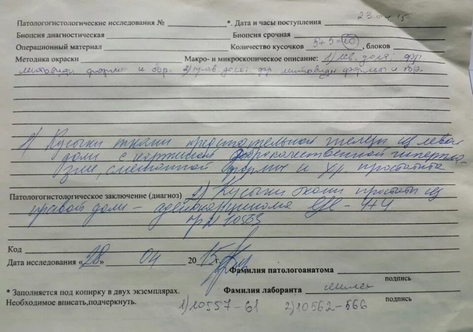 Правила гистологического исследования. Правила гистологического исследования