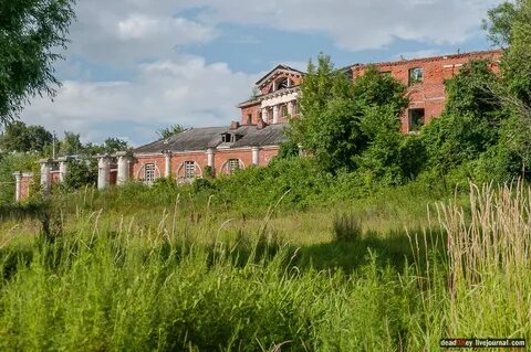 Услуги рязанская область