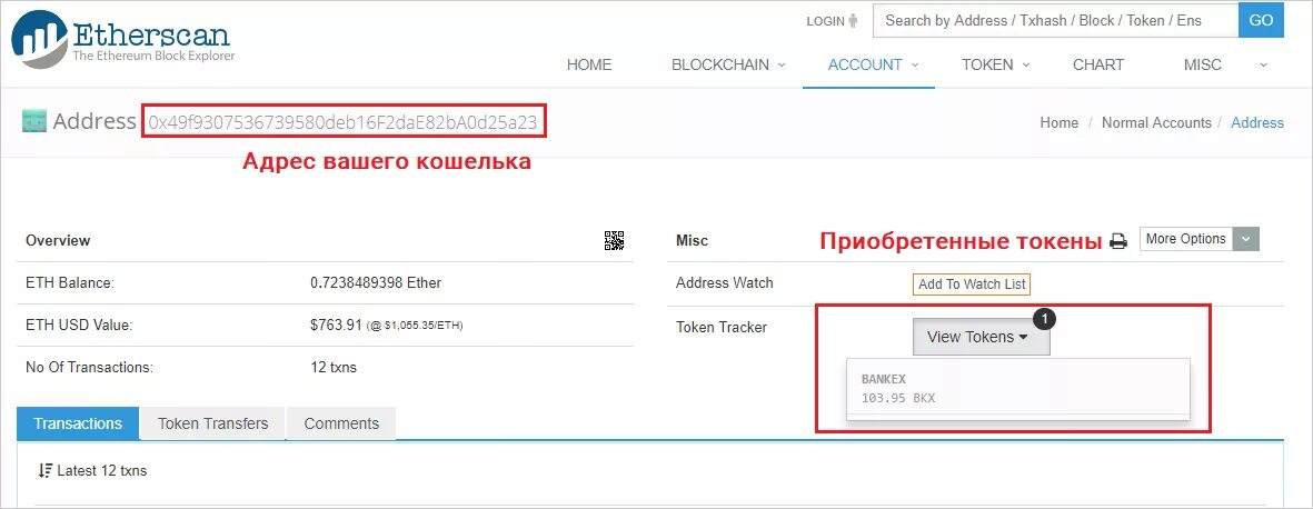 Ding talk. Drupal. Как выглядит адрес trc20. Эзерскан. View tokens.