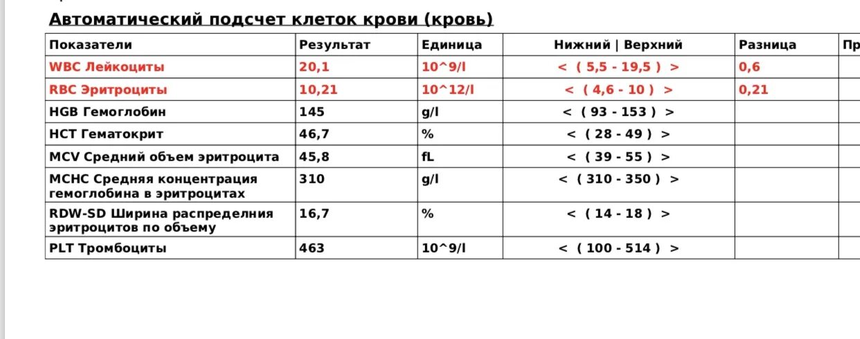 У собаки моча с кровью что это. У собаки моча с кровью что это