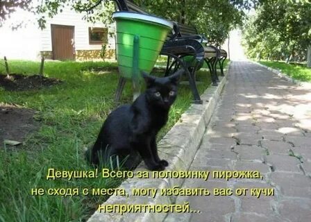 Смешные картинки с надписями сегодня