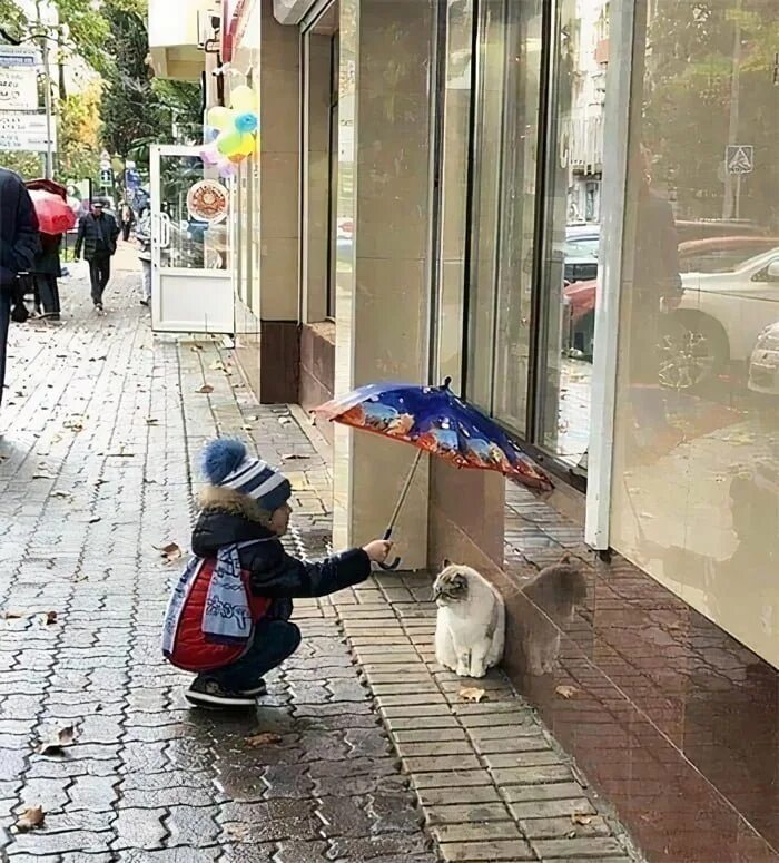 Show kindness. Добрые поступки. Добрые дела. Добрые дела и поступки. Доброта картинки.