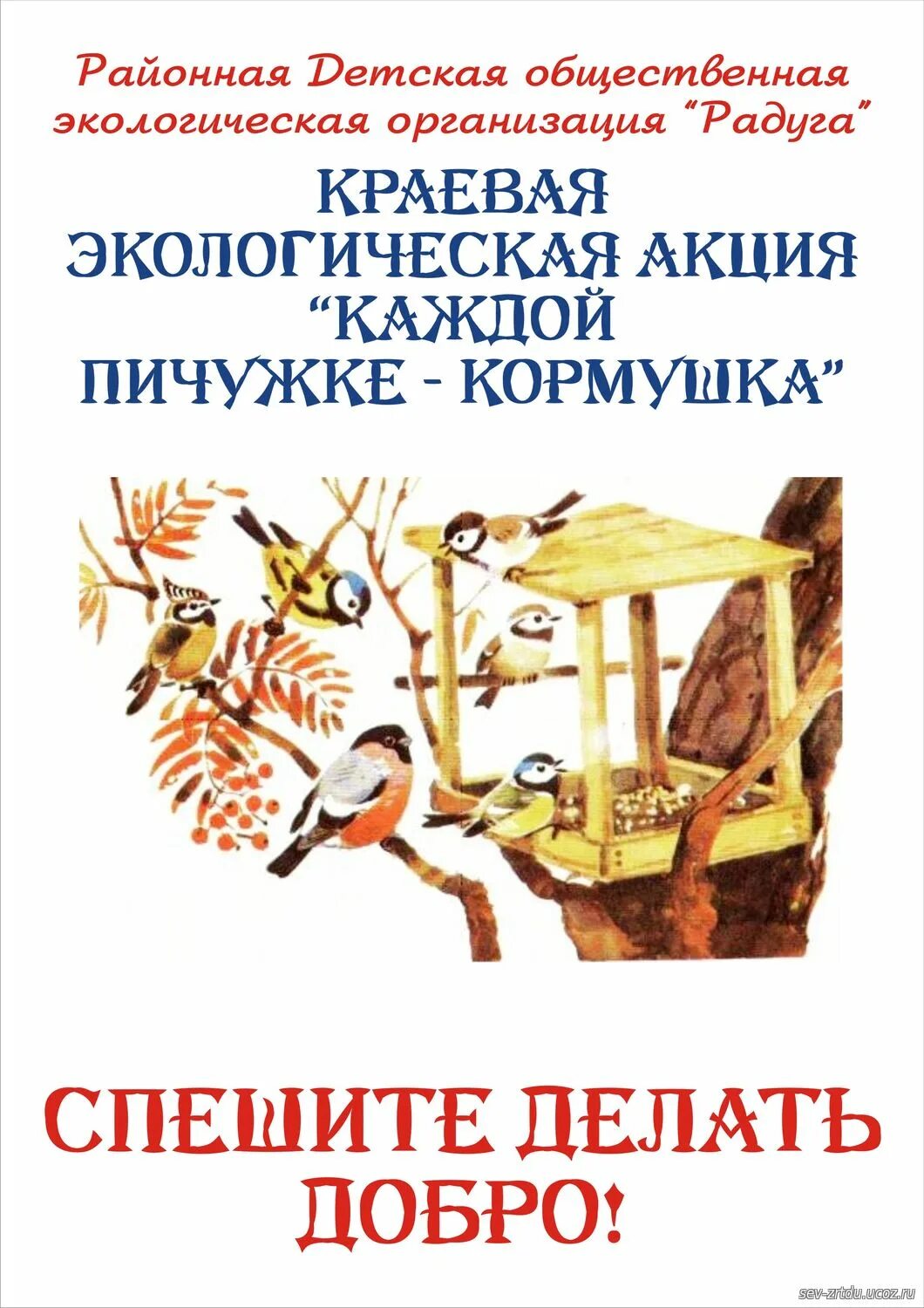 экологическая акция кормушка из вторсырья. акция каждой пичужке своя кормушка в детском саду. каждой пичужке кормушка акция. каждой пичужке кормушка акция в детском саду. экологическая акция каждой пичужке кормушка.