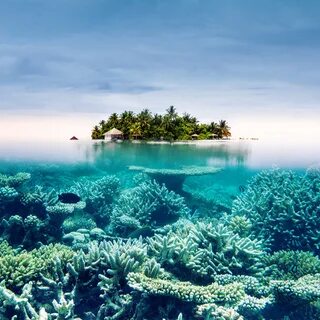 Ocean this is