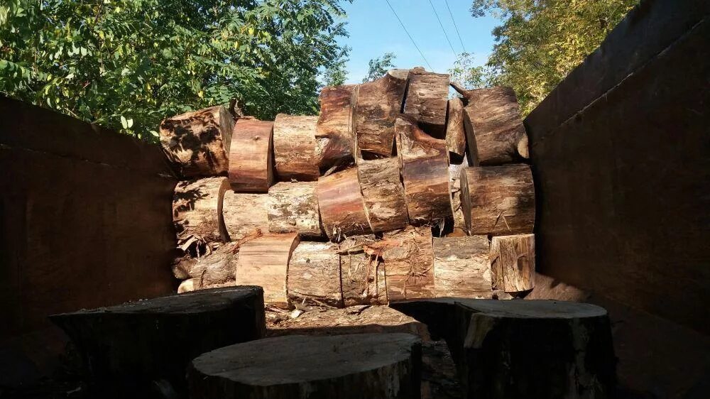 поленница из бревен. дрова дубовые воронеже. дрова дубовые в термоупаковке. дрова строительные. купить дрова дубовые в лисках.