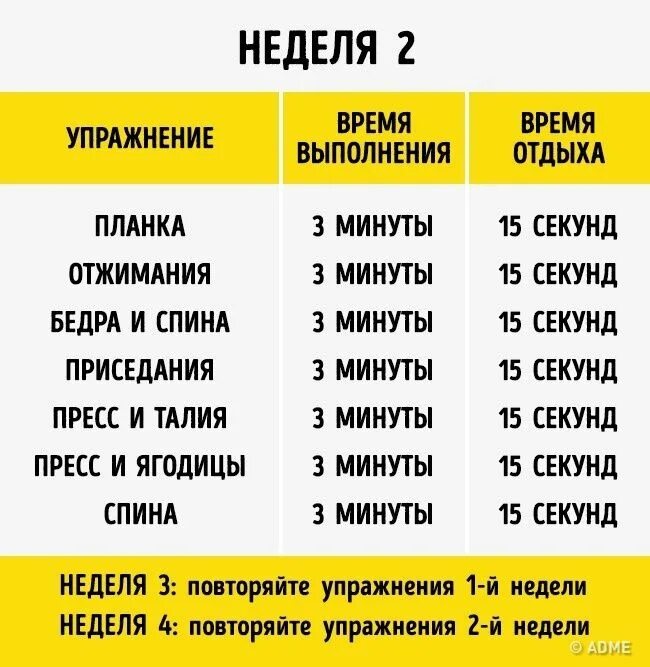 Программы отжиманий приседаний