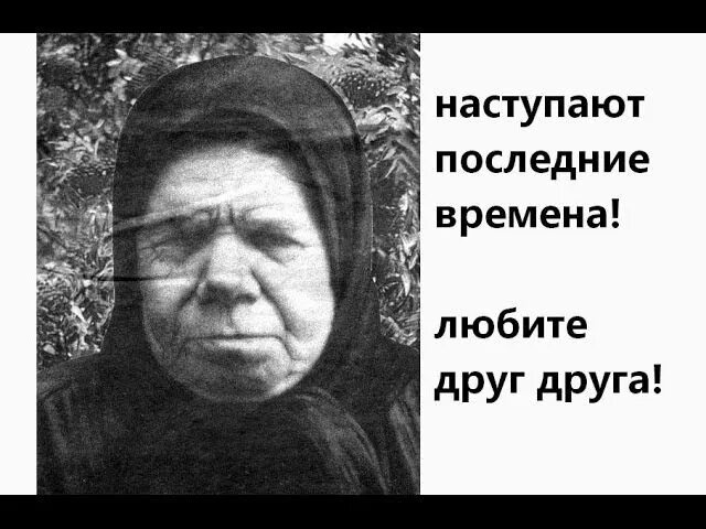 Предсказания ольги