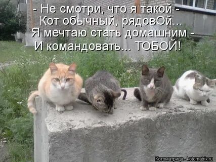 Туда не пускают