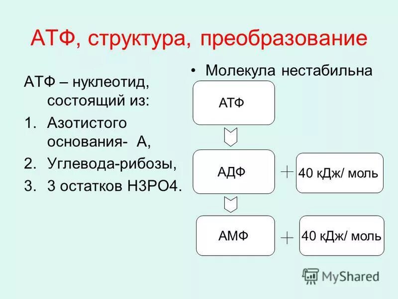 Азотистое основание атф. Химический состав АТФ. Молекула АТФ азотистое основание. Углевод АТФ.