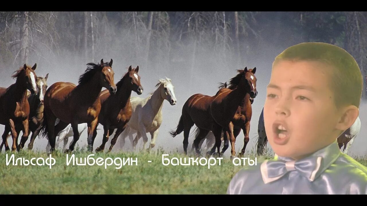 Башкорт аты 2025 когда