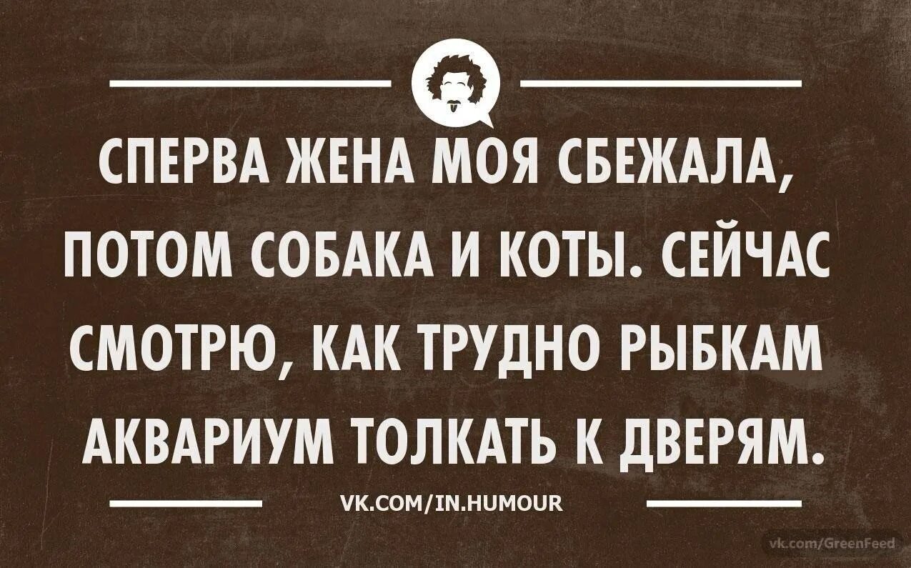 Сначала подругу потом мужа. Сперва жена моя сбежала. Рыбки толкают аквариум к двери. Сперва жена моя сбежала потом собака и коты. Аквариум толкать трудно рыбкам.