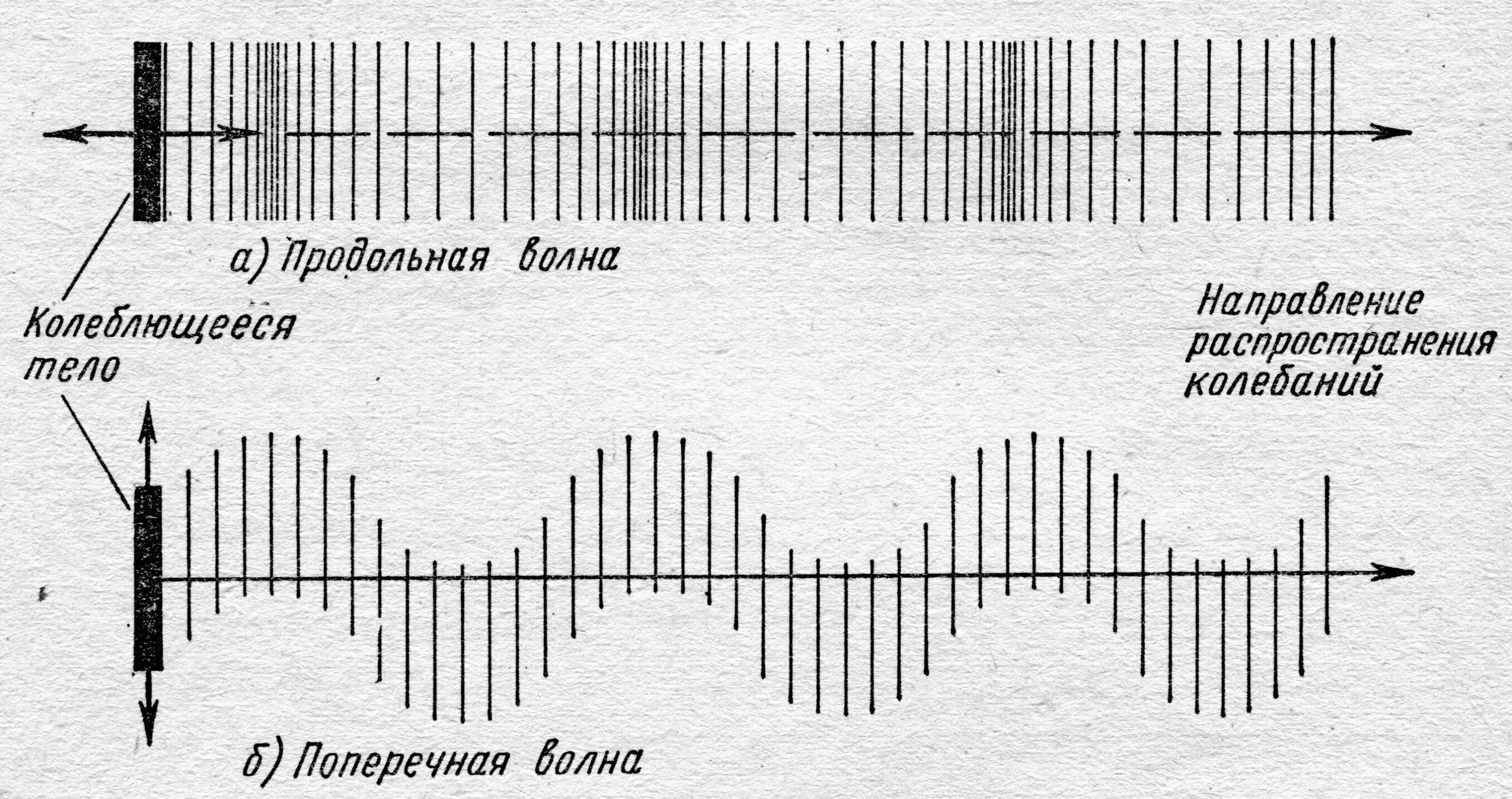 Продольные ультразвуковые волны. Продольные и поперечные волны. График продольной и поперечной волны. Продольная волна схема. Поперечные и продольные волны звуковые волны.