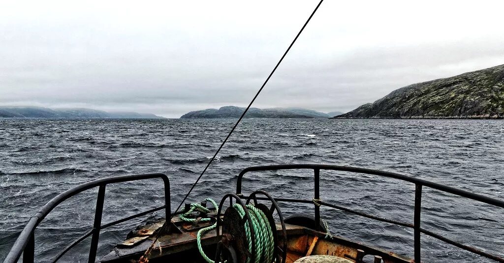 треска баренцева моря. морская рыбалка баренцево море. запретили ловлю рыбы в баренцевом море. запретили ловлю рыбы в баренцевом море. лодка для баренцева моря.