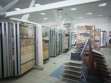 Бобер курск