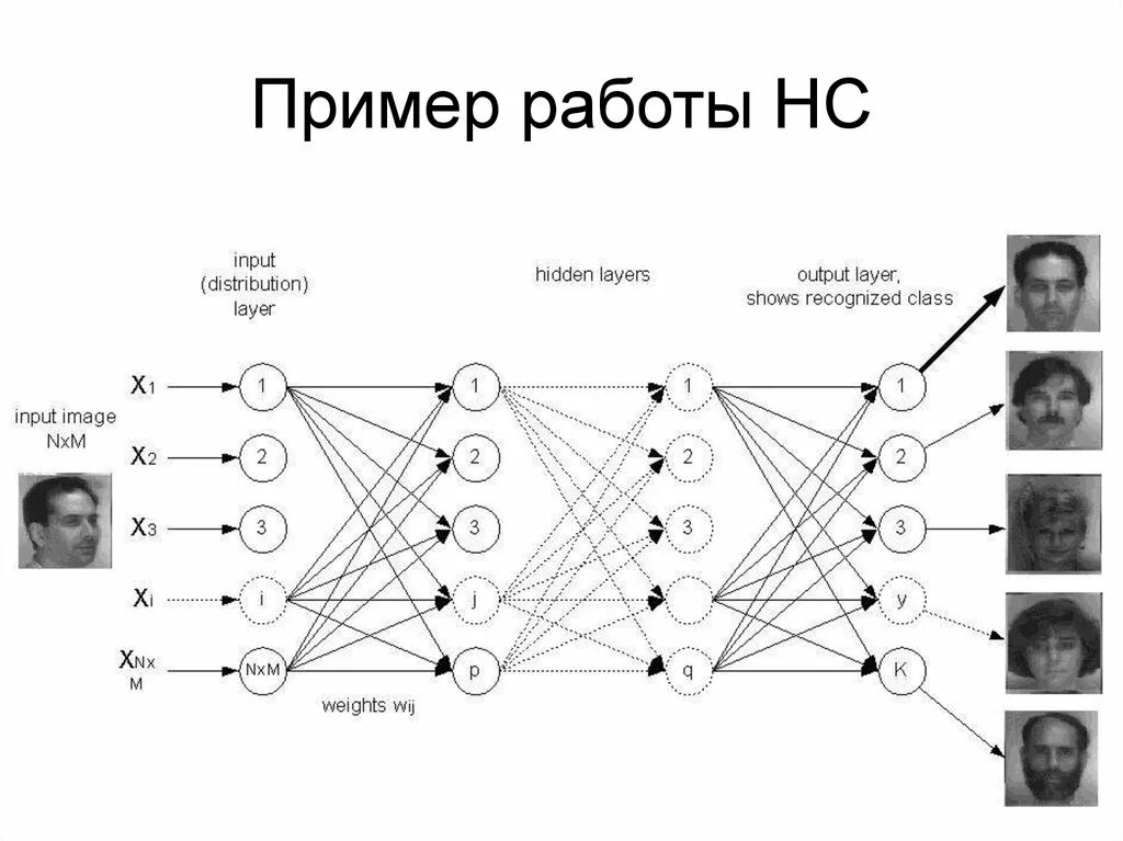 Нейронные сети классификация изображений. Многослойный персептрон нейронные сети. Многослойная нейронная сеть для классификации изображений. Архитектура нейронных сетей Многослойные персептроны. Перцептрон искусственные нейронные сети.